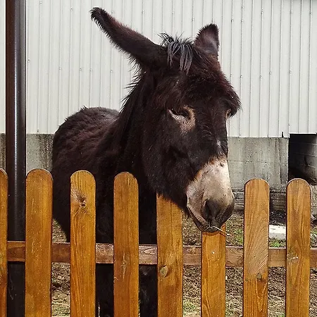 Masseria Caporelli Gasthof San Costantino Calabro